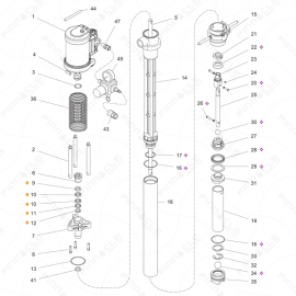 Graco T3 SS Transfer Pump Exploded Diagram